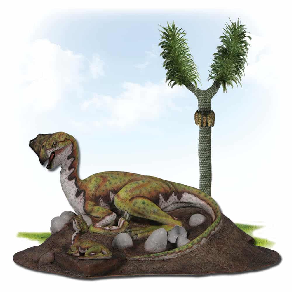 Oviraptor Dinosaur on Nest photo