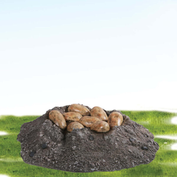 Nest with Sauropod eggs