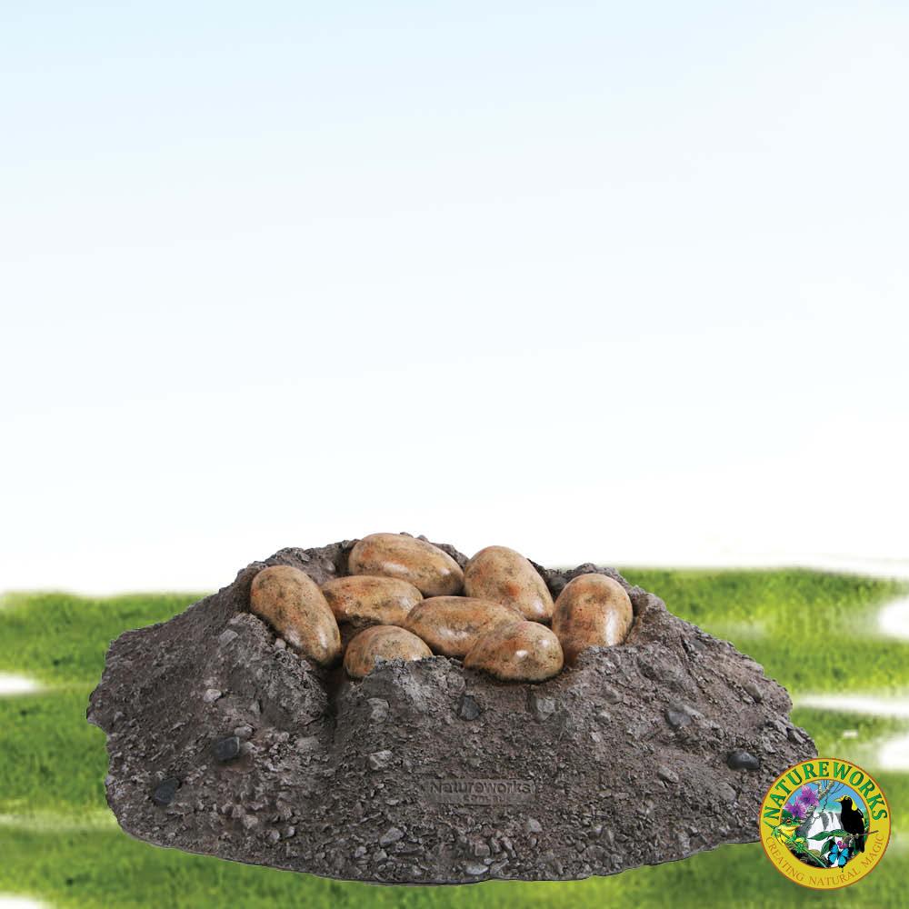 Nest with Sauropod eggs