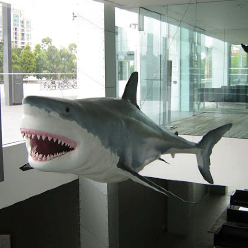 Great White Shark 18ft -hanging sculpture