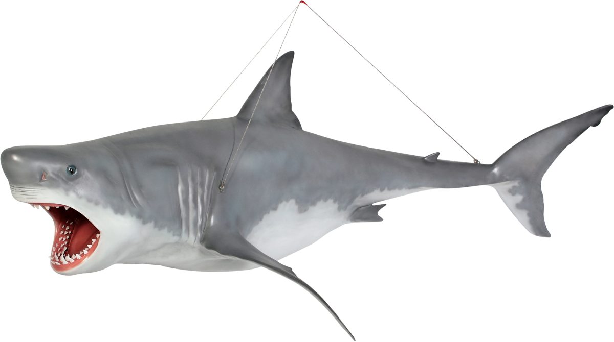 Natureworks Australia Great White shark 18ft - Hanging - Image 6
