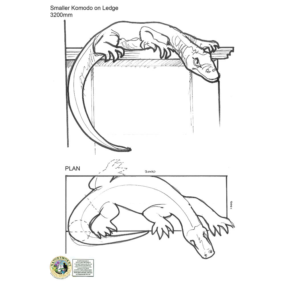 Natureworks Australia Komodo Dragon Tail Hanging Aust Reptile Park Concept Art V