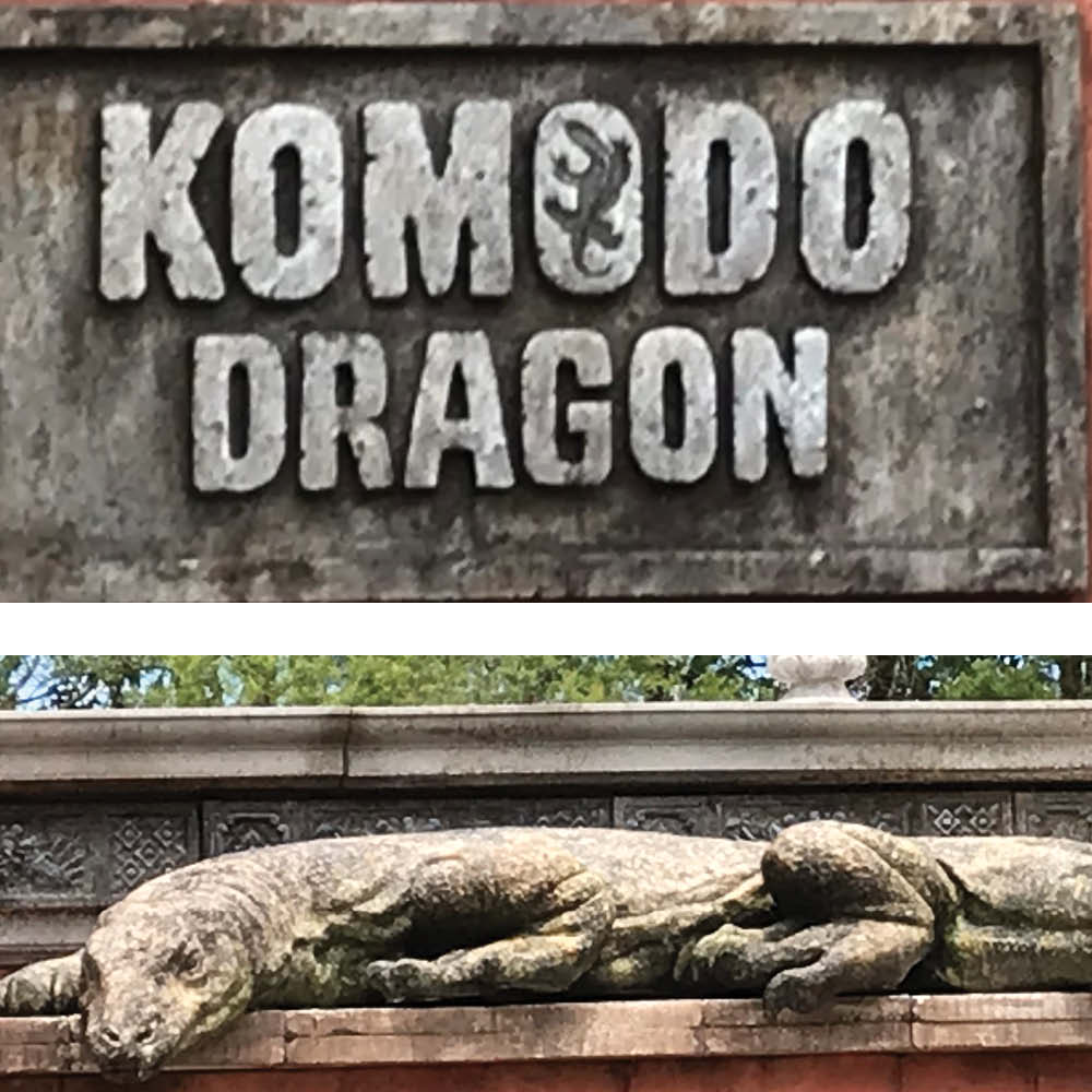 KomodoDragon TailHanging Largestatue