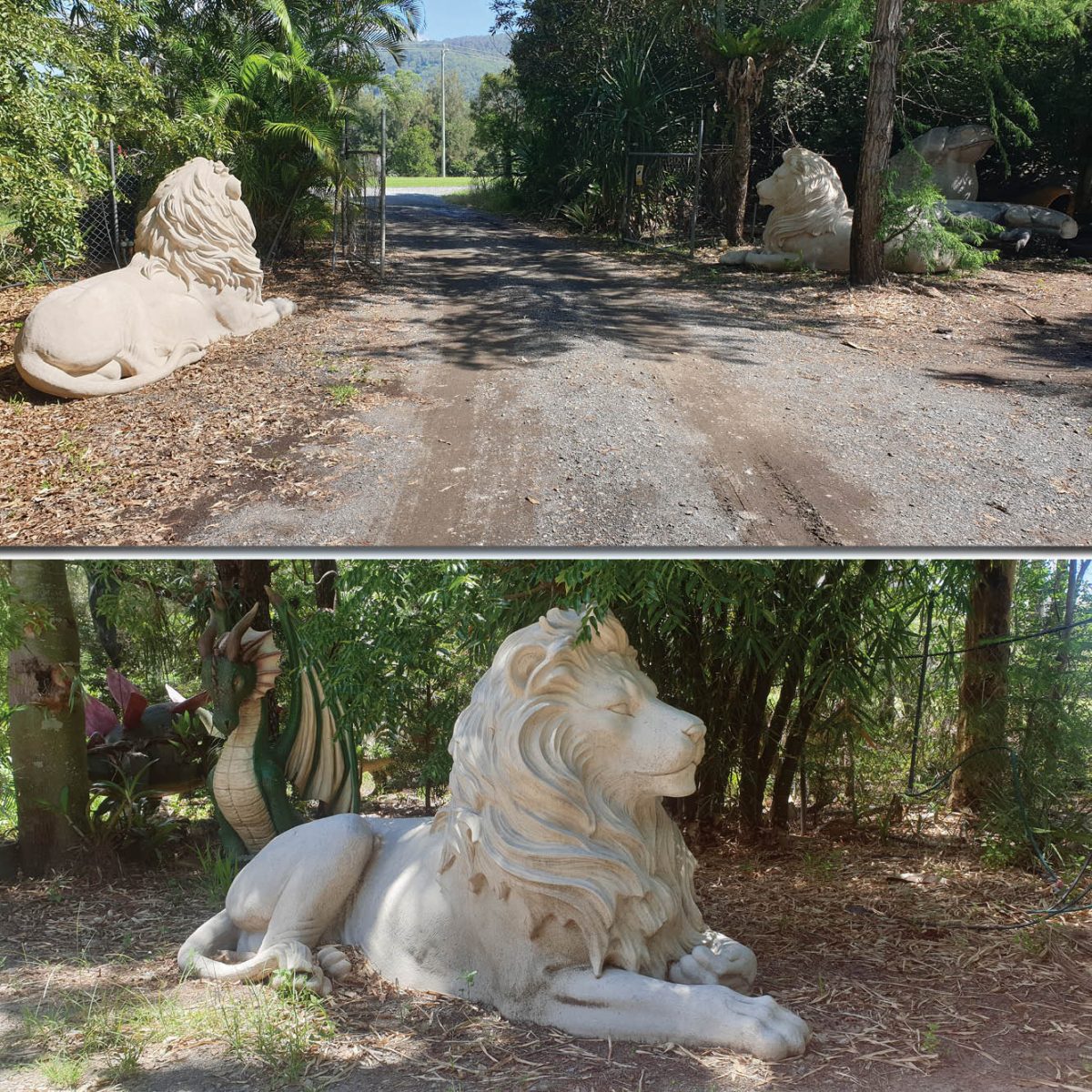 Natureworks Australia Lion Statue in resting pose - Majestic castle Roman Stone
