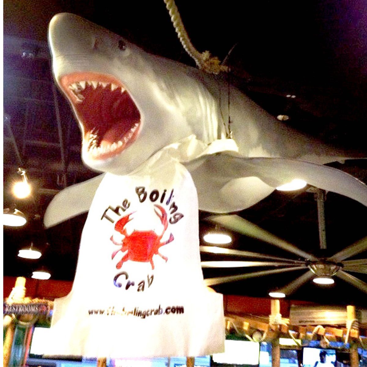 Natureworks Australia Great White shark 18ft - Hanging - Image 10