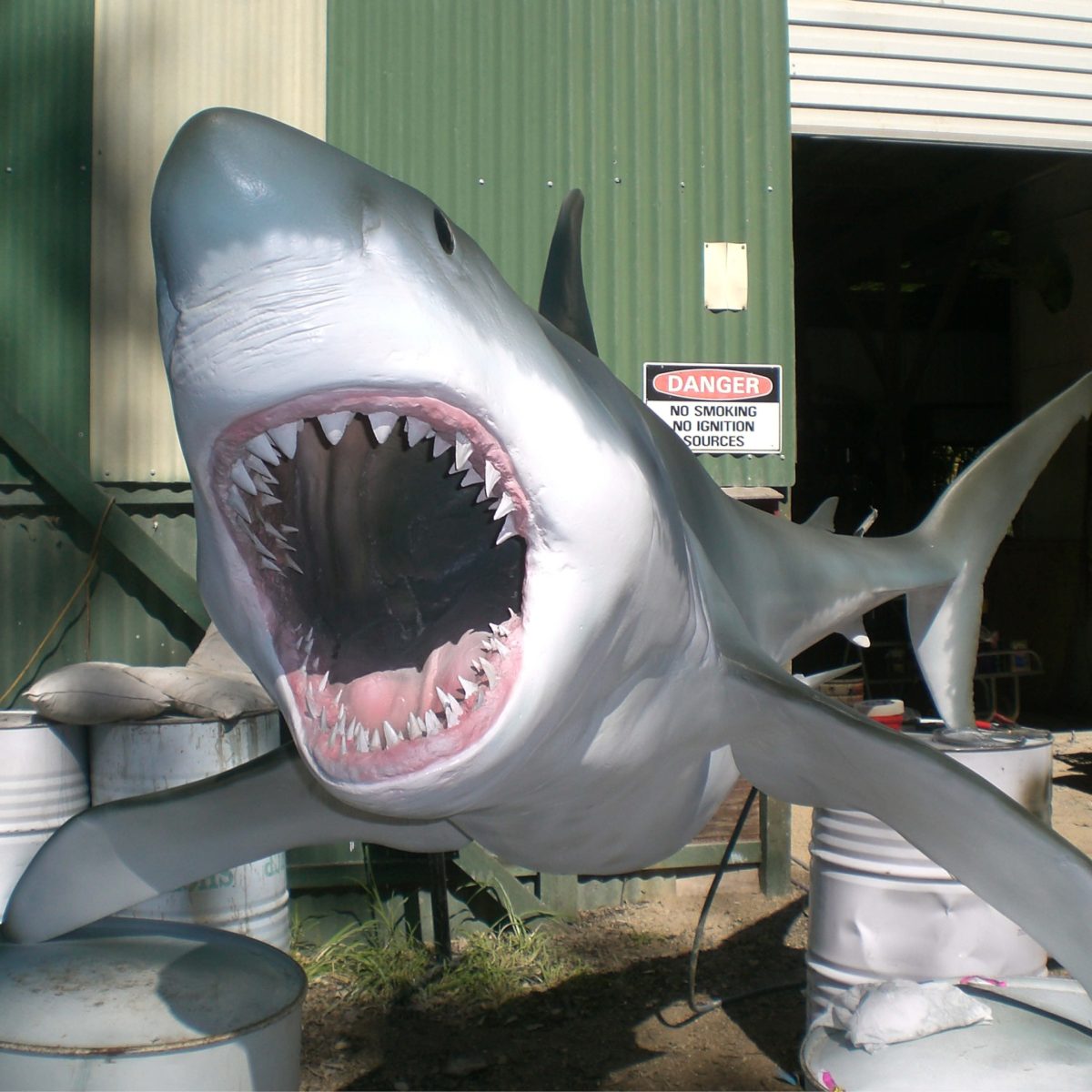 Natureworks Australia Great White shark 18ft - Hanging - Image 9