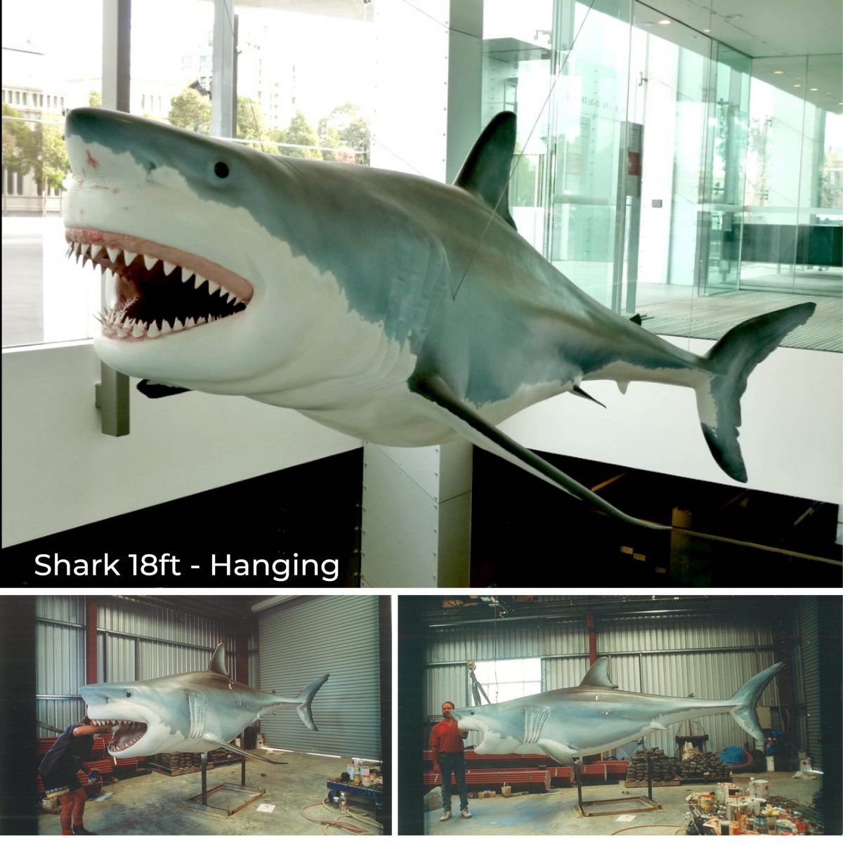 Natureworks Australia Shark 18ft - hanging - or on pedestal - NWShark18ft_2
