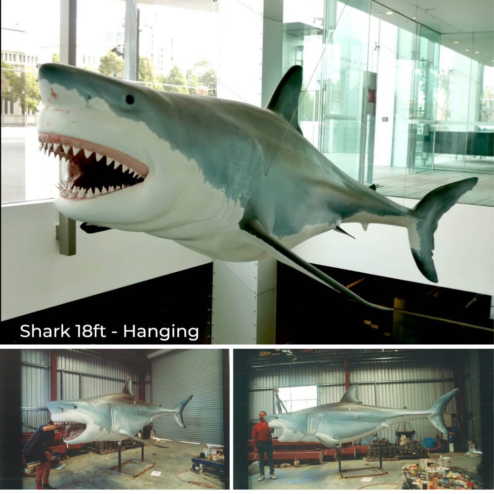 Realistic 18ft Shark sculpture