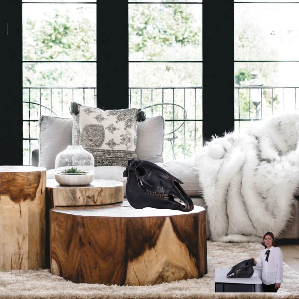 HorseSkull Replica–ImperialBronzeFinish Life size–photo