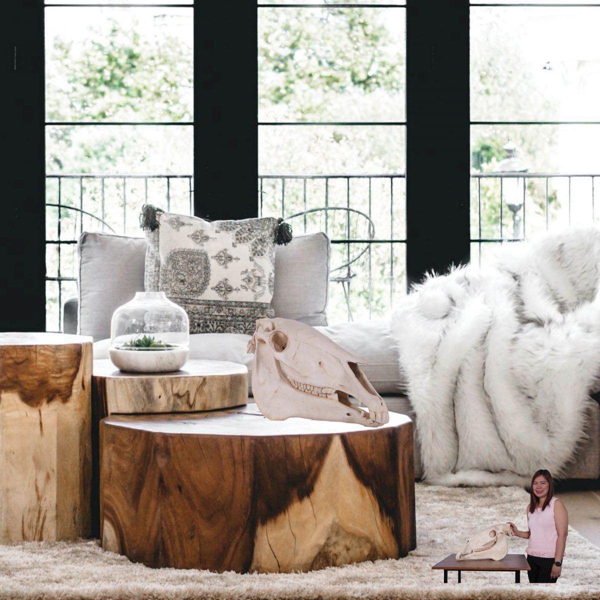 Natureworks Australia HorseSkullreplica life size