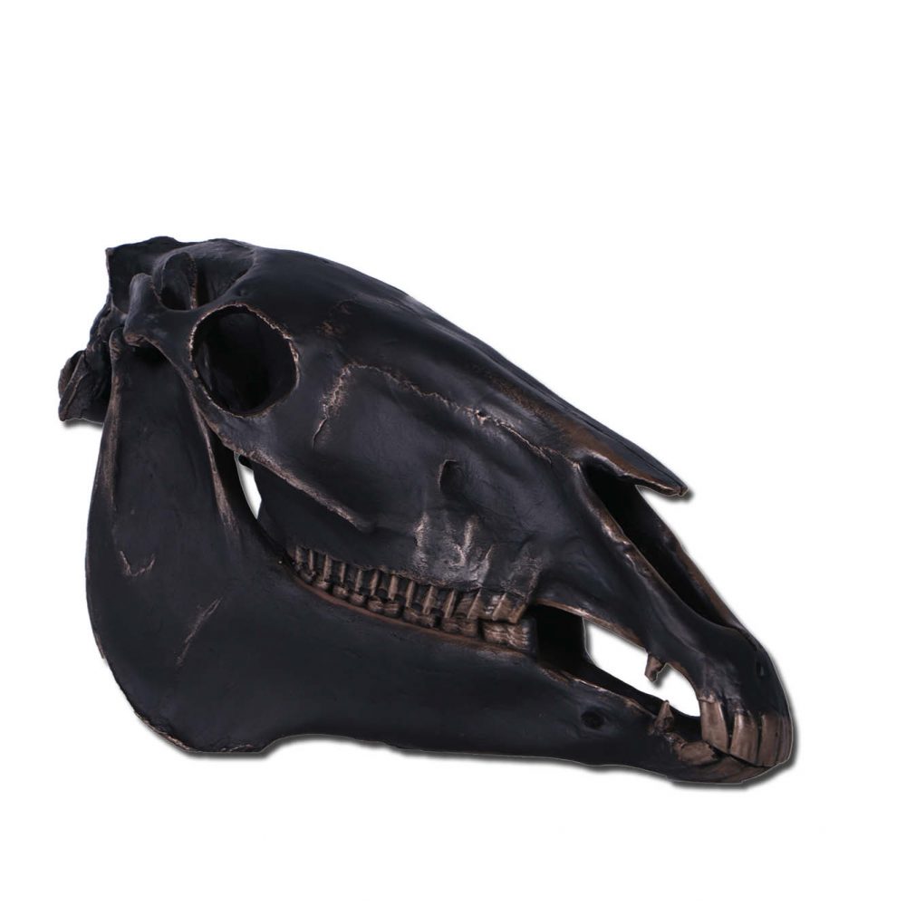 HorseSkull Replica–ImperialBronzeFinish Life size–photo