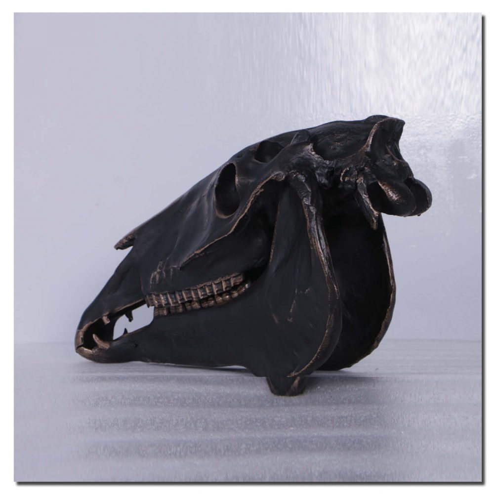 HorseSkull Replica–ImperialBronzeFinish Life size–photo