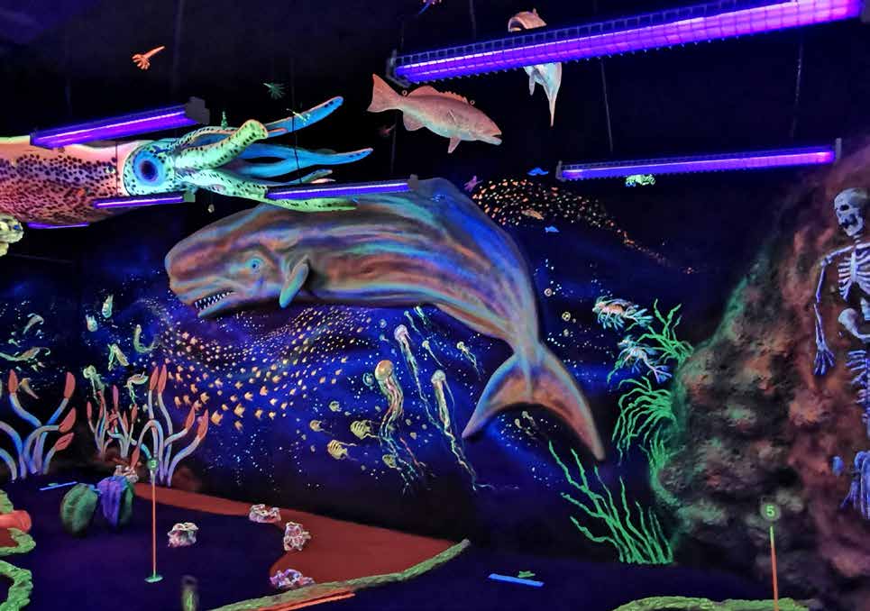 Natureworks Australia Glow in dark marine life