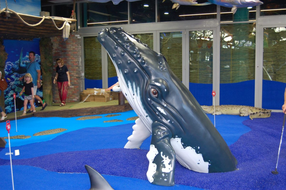 Natureworks Australia Whale
