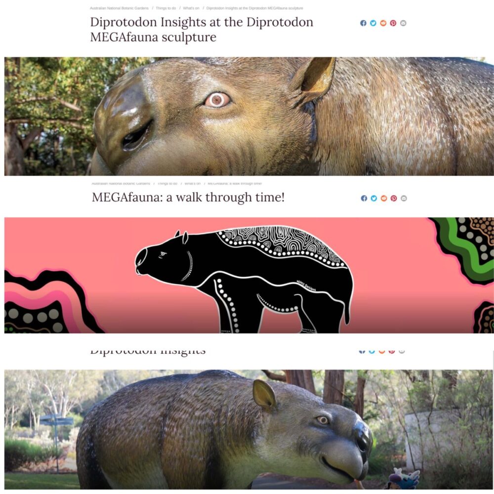 Diprotodon optatum - megafauna marsupial - life-size sculpture - Aust Nat Botanical Gardens - events and educationl display
