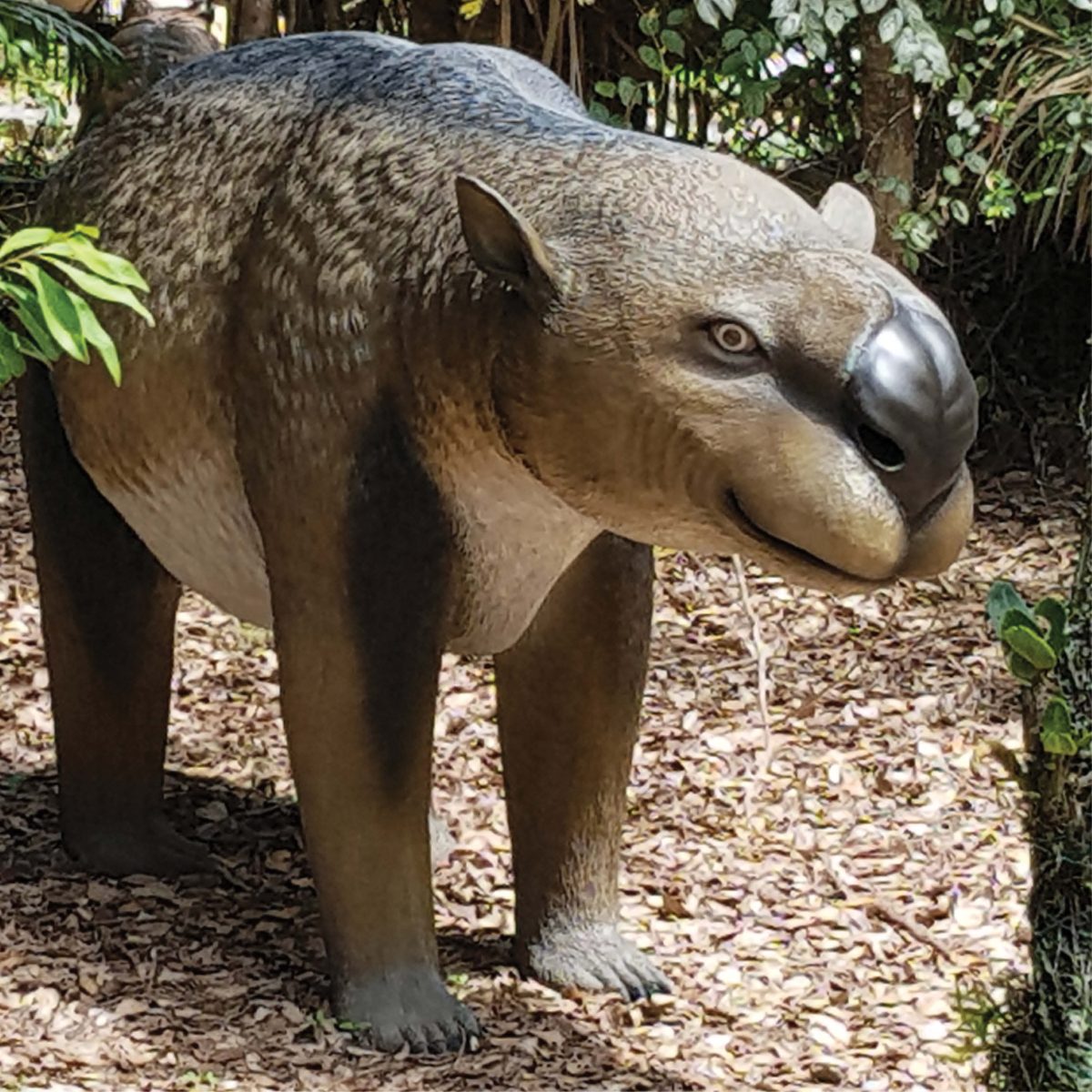 Natureworks Australia Diprotodon optatum - shown in the Garden at Natureworks front angle view