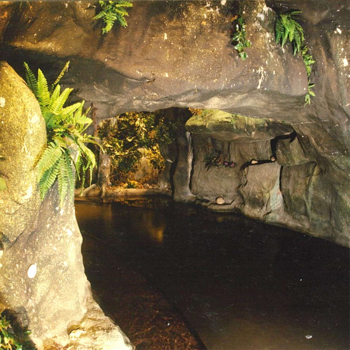 Natureworks Australia MovieWorld LooneyTunesBoatRide