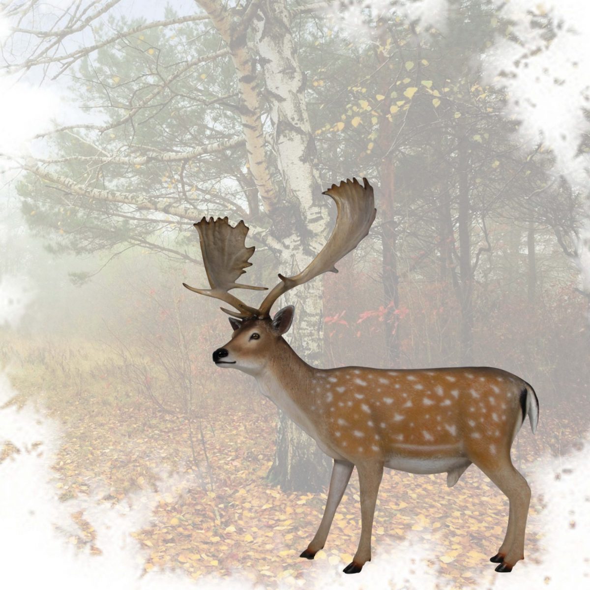 Natureworks Australia Deer - Fallow - Buck - life-size sculpture