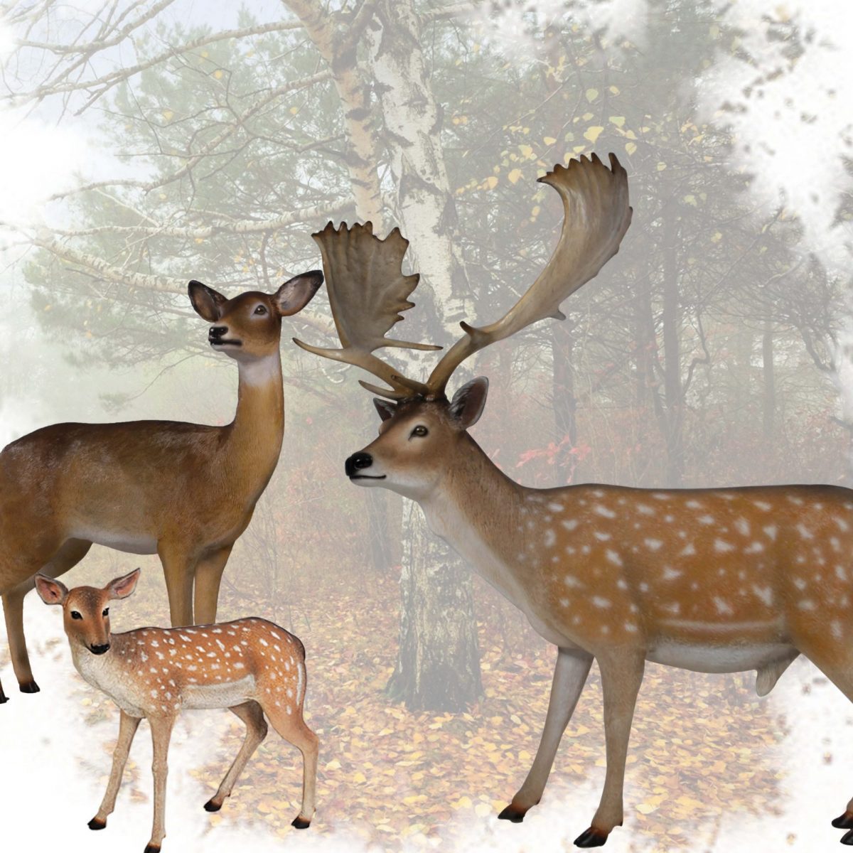 Natureworks Australia Oh, deer oh dear! what a stunning fallow deer buck sculpture!