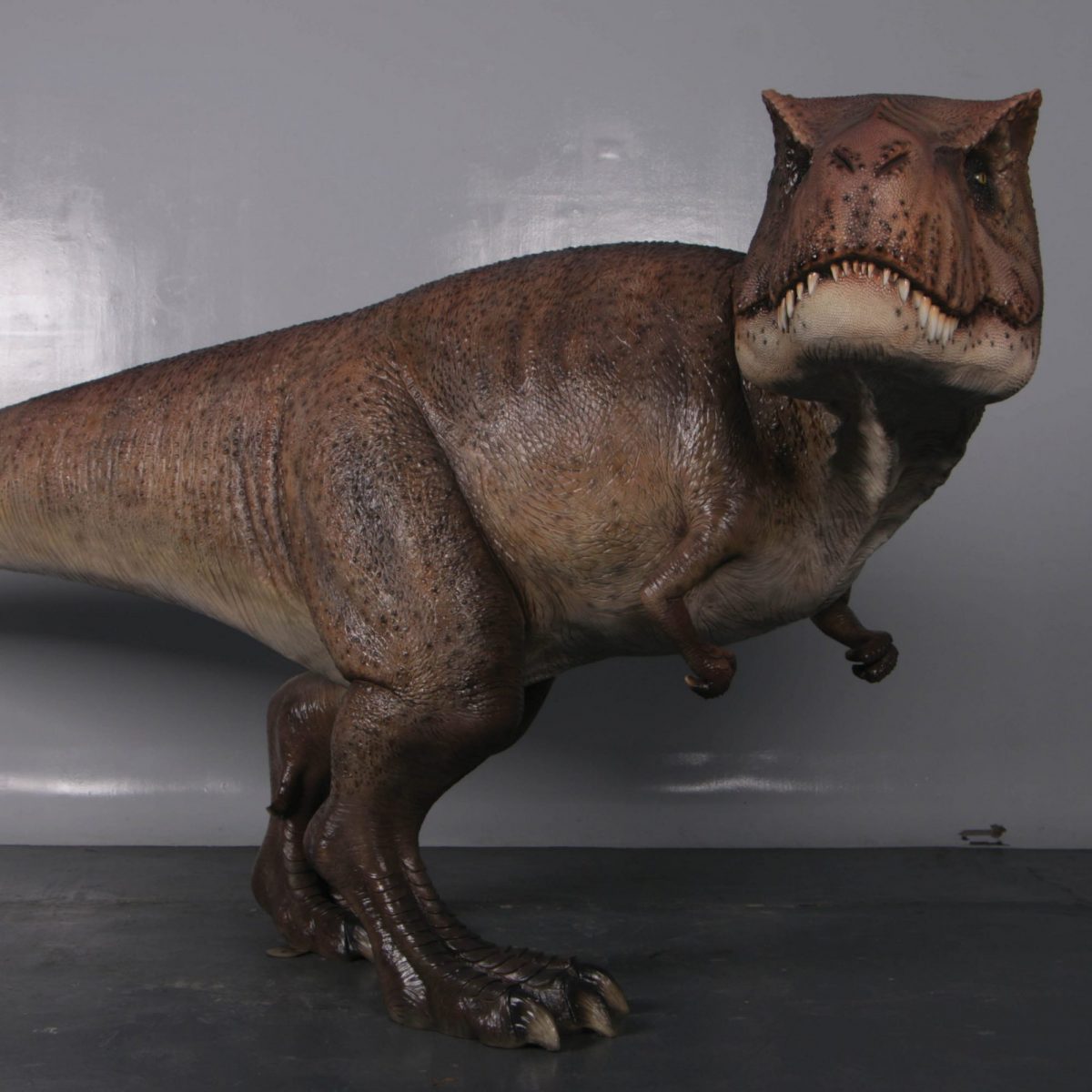 Natureworks Australia Tyrannosaurus Rex–side view - 190136
