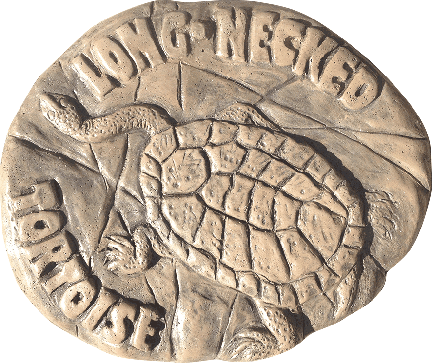 Long-Necked Tortoise Stepping Stone