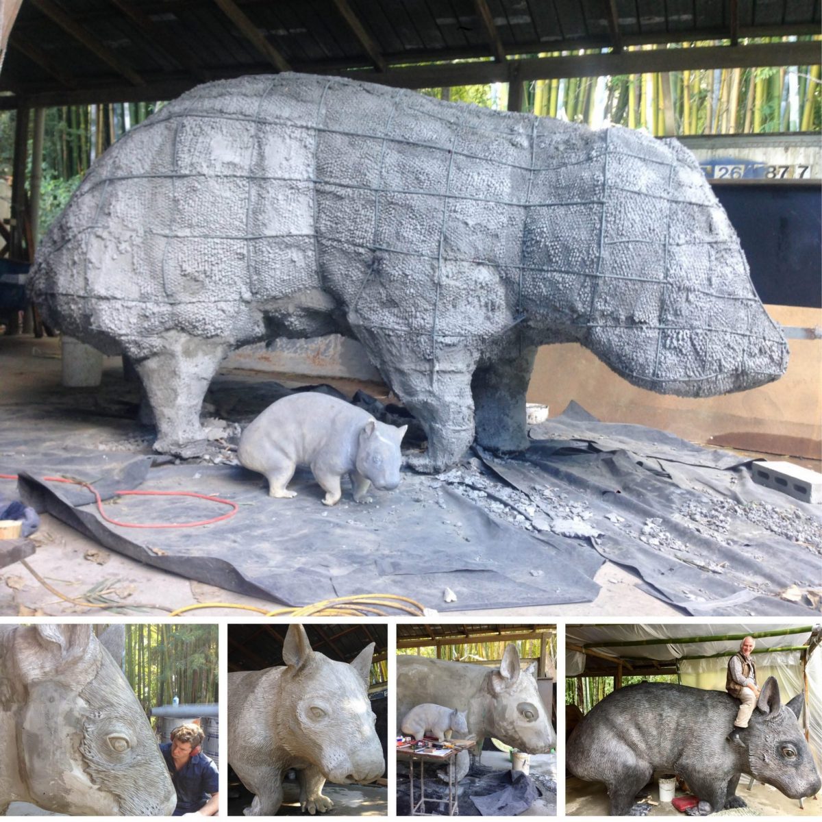 Natureworks Australia William the hairy nosed wombat