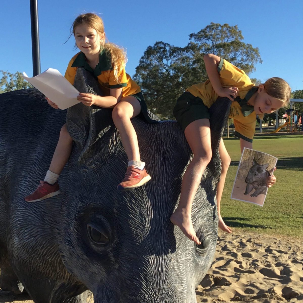 Natureworks Australia William the wombat giant sculpture has been a very popular addition to the local playground.