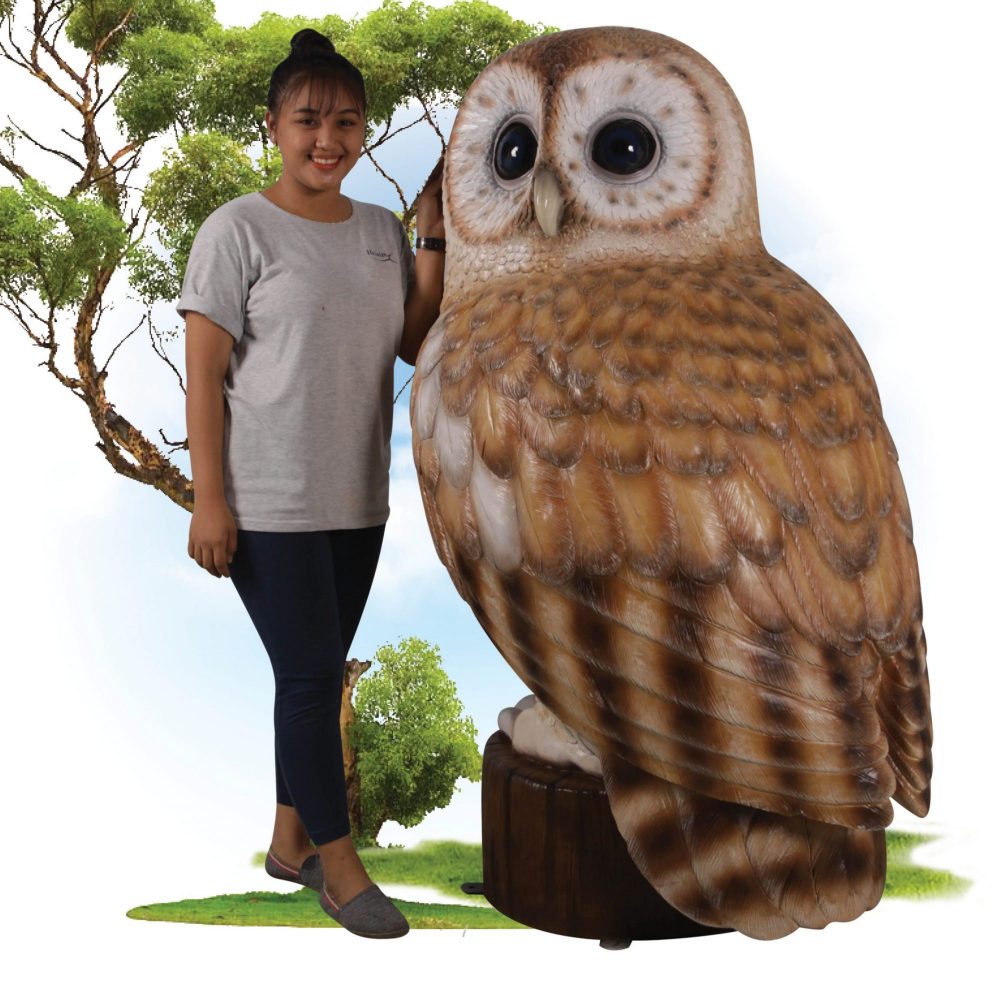 Birds Tawny brown Owl ft  with lady Image   scaled