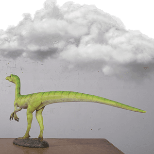 Compsognathus Dinosaur   Rear View Image