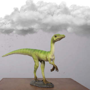 Natureworks Australia Compsognathus Dinosaur Rear View Image