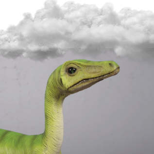 Natureworks Australia Compsognathus Dinosaur head view Image