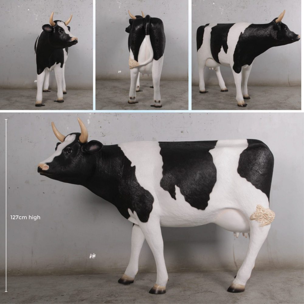 Cow Standing Friesian