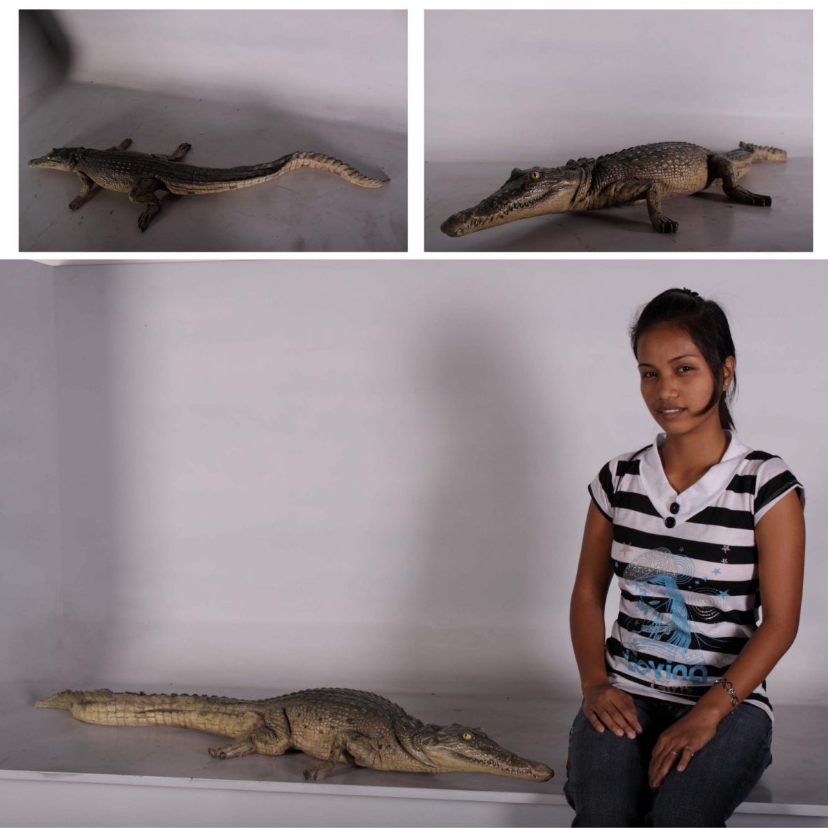 Natureworks Australia Crocodile 4ft resting - side view outdoors