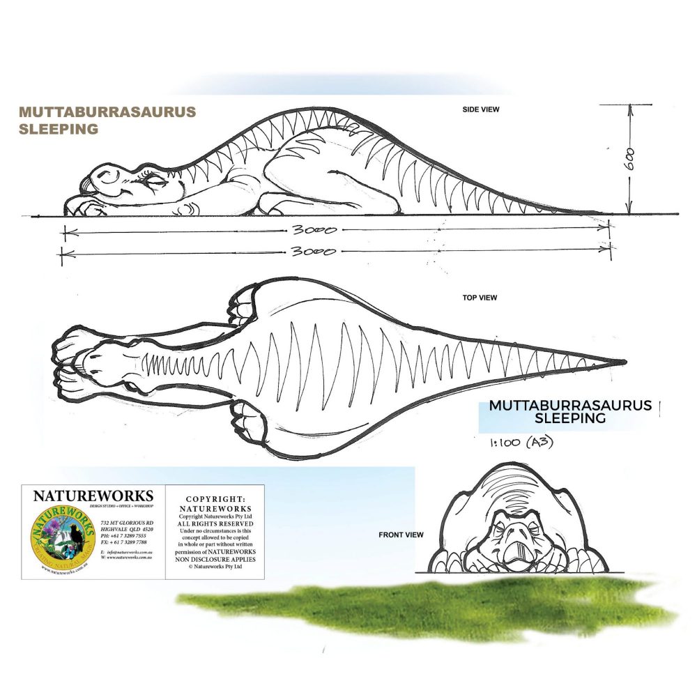 Muttaburrasaurus dinosaur sleeping – life-size replica – Australian