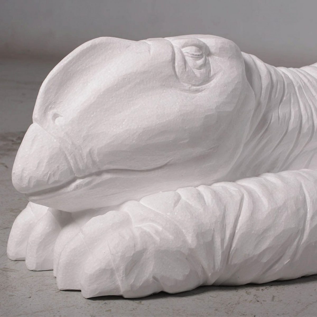 Natureworks Australia Muttaburrasaurus dinosaur sleeping – life-size replica – Australian