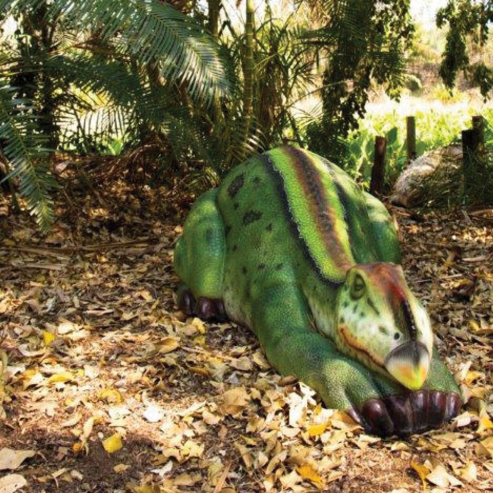 Muttaburrasaurus dinosaur sleeping – life-size replica – Australian