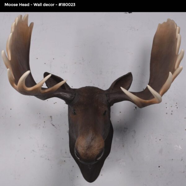 Moose head – Wall Décor