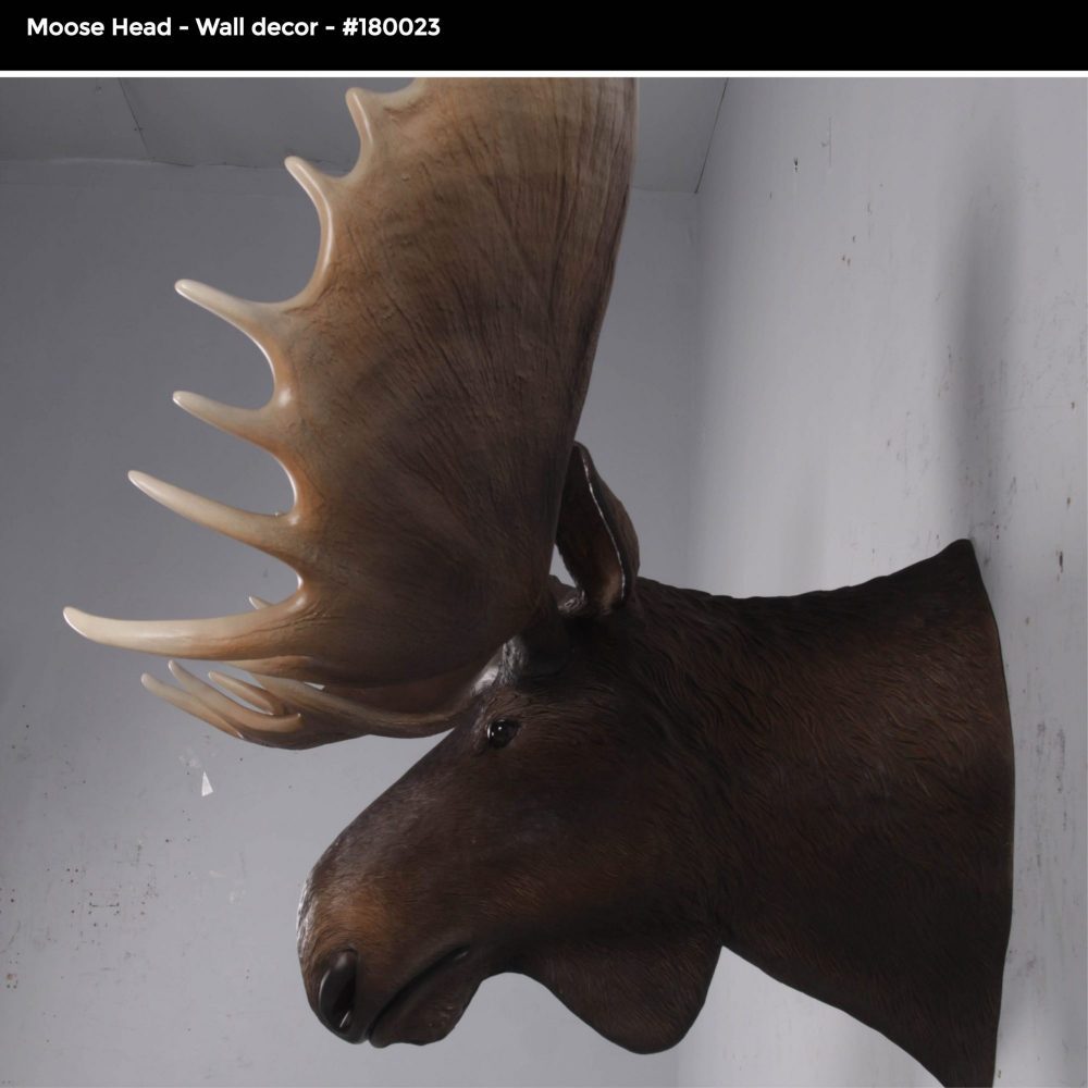Moose head – Wall Décor