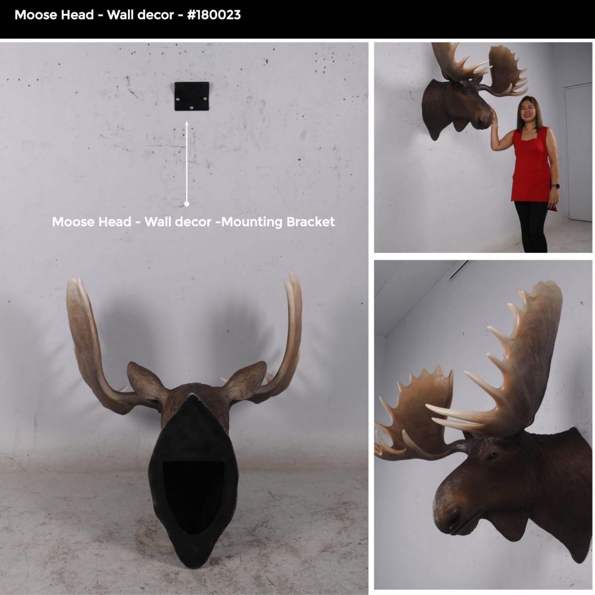 Natureworks Australia Moose head – Wall Décor