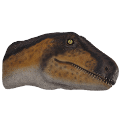 Rosewood Raptor_Dinosaur_Head and Neck only - Wall Decor