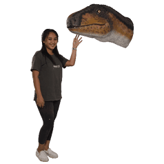 Rosewood Raptor_Dinosaur_Head and Neck only - Wall Decor 180097 with girl