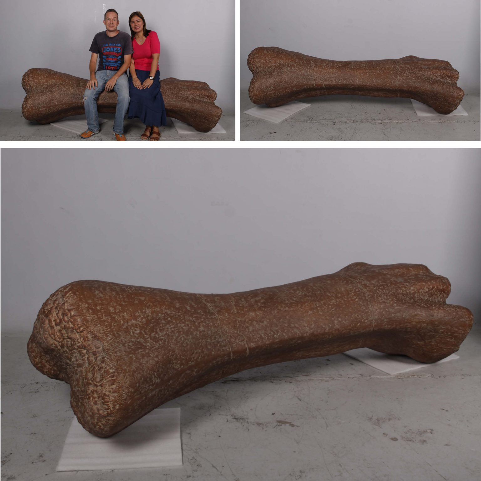 Titanosaur Femur Fossil Bone Sculptures