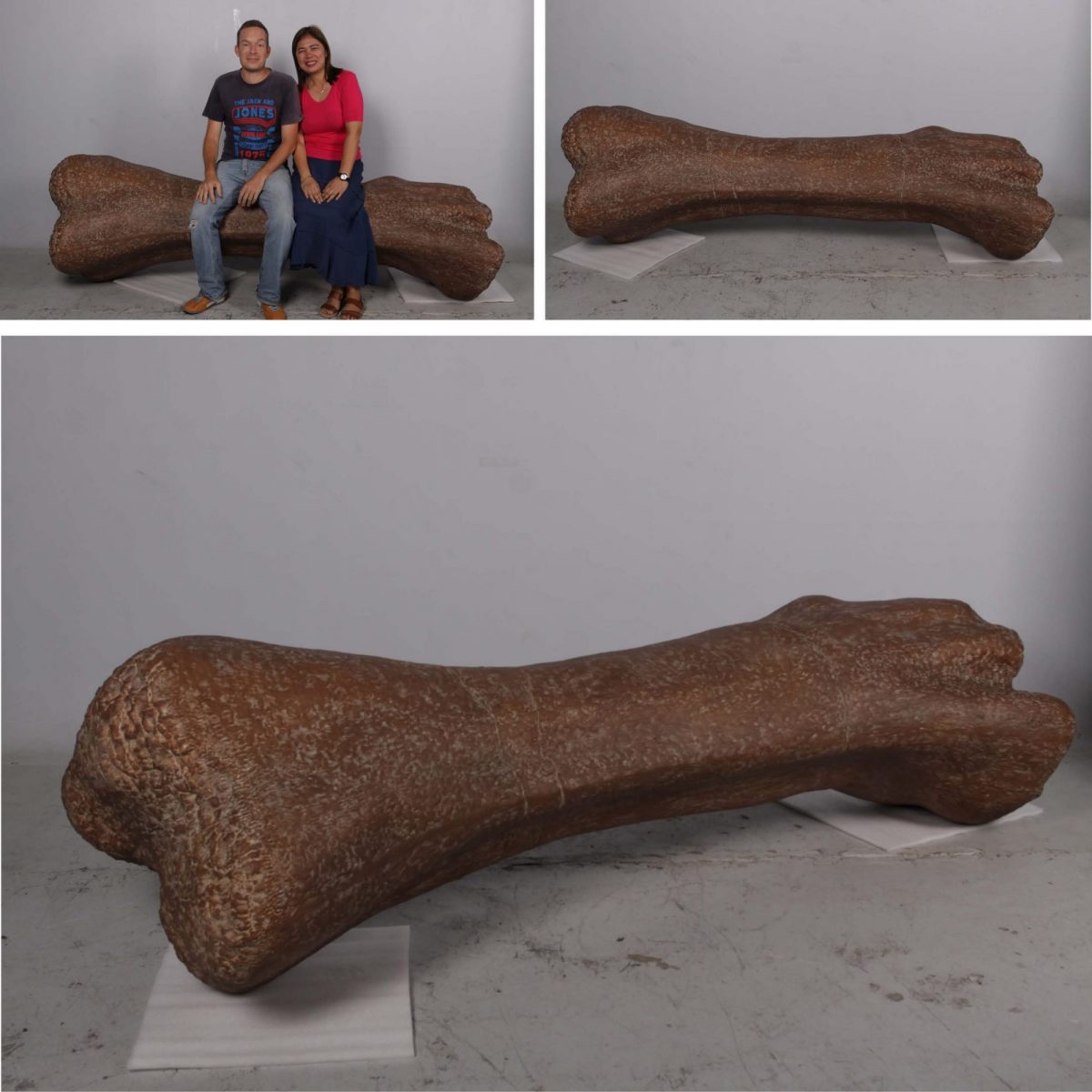 Natureworks Australia Titanosaur Dinosaur Fossil Femur Bone