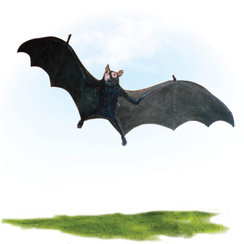 Bat -Black flying fox replica Flying pose