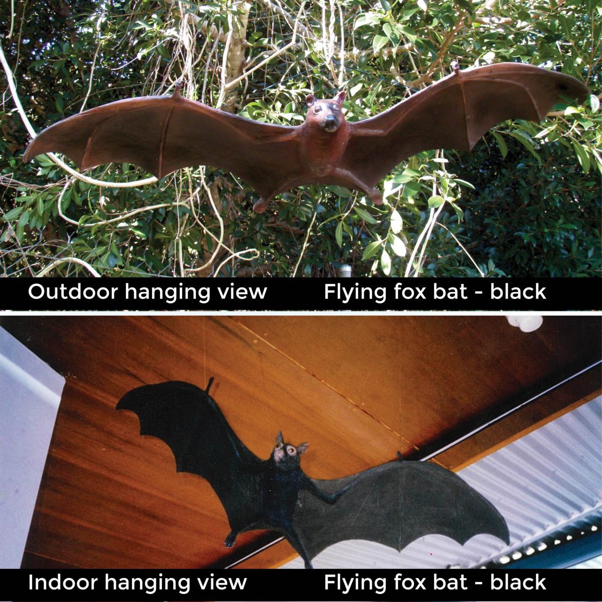 Natureworks Australia Fibreglass replica of a flying fox bat