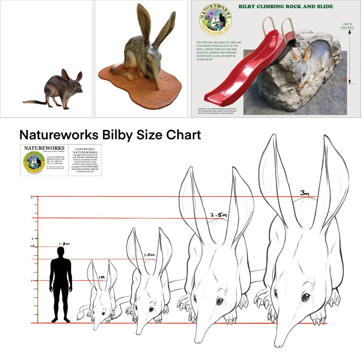 Natureworks Australia Bilby larger than life-size - how big is big enough