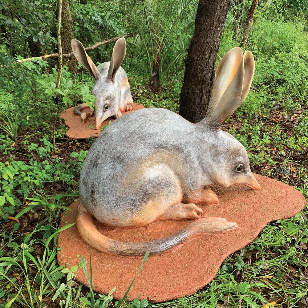 Bilby larger than life-size on base plate_Outside view
