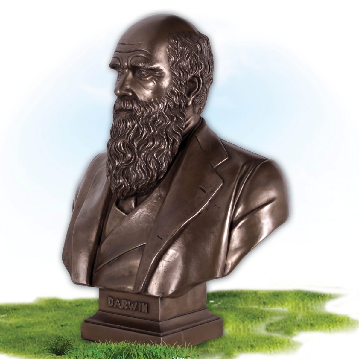 Natureworks Australia Charles Darwin Bust on base- Bronze finish