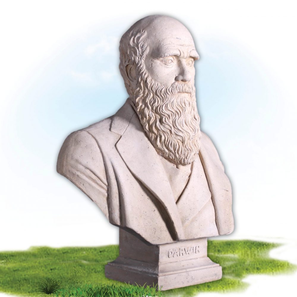 Charles Darwin Bust – Reproduction with Roman stone finish