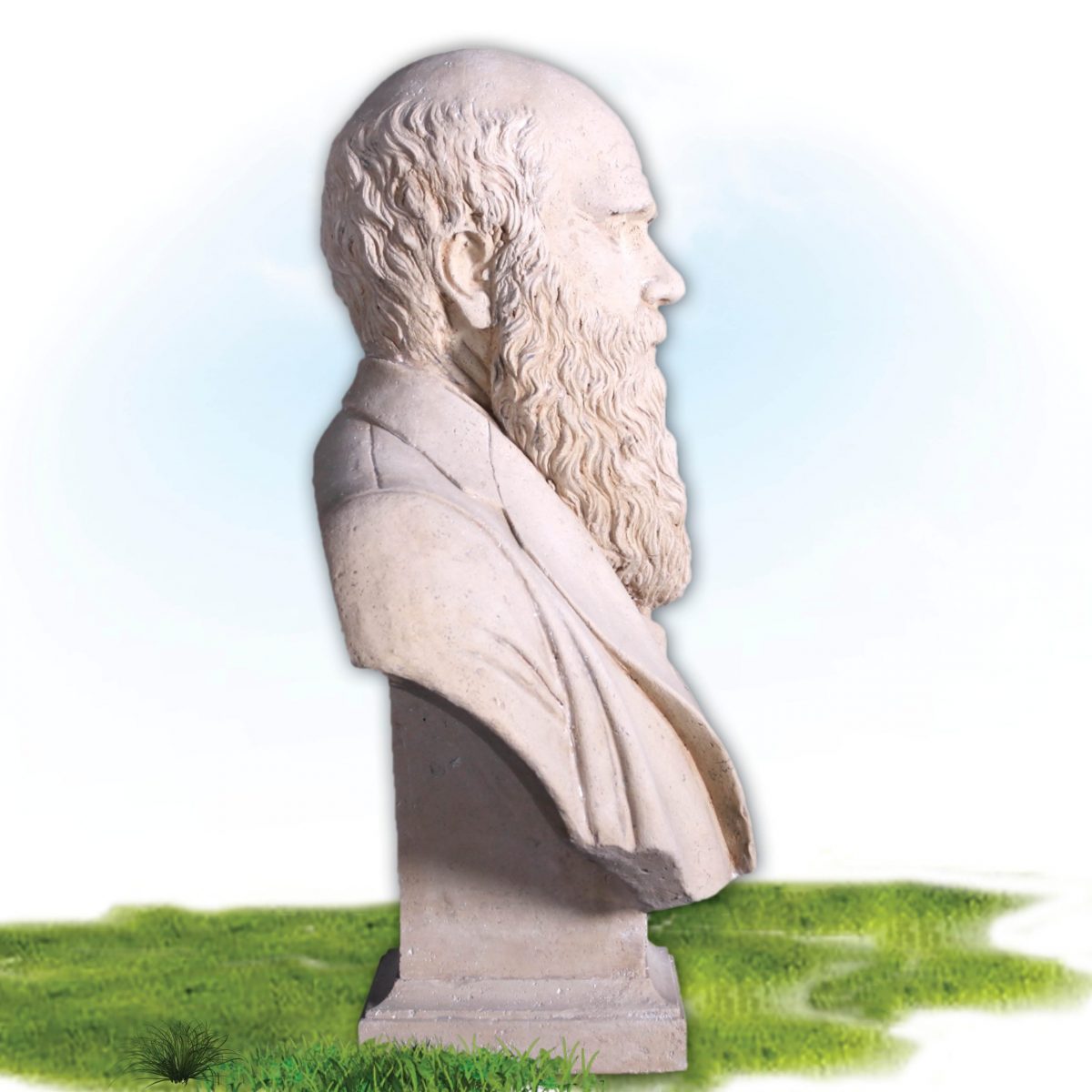 Natureworks Australia Side View Charles Darwin Bust – Reproduction with Roman stone finish